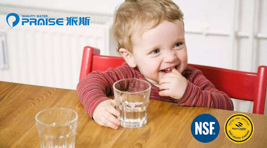 Praise派斯榮獲NSF與WQA雙認證