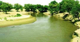 h(hun)O(jin)y(sh)(j)@ʾ(ni)ɹźˮ|(zh)wurpȾ